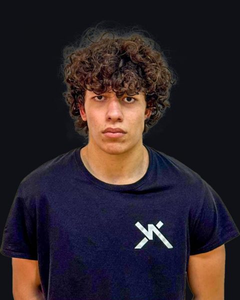 Giannis  Karles 