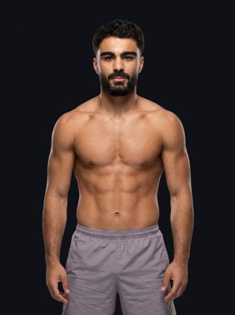 Wael Abd Ali